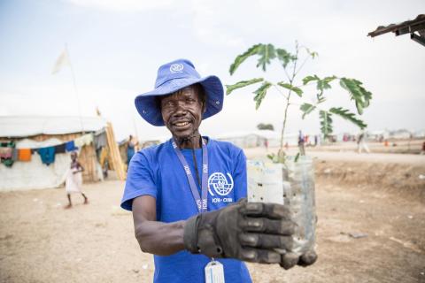 From Seedling to Shade: Planting Trees in South Sudan’s Displacement Sites