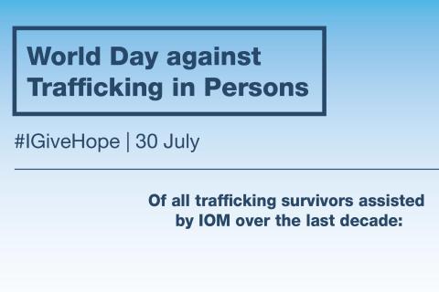 Of all trafficking survivors assisted by IOM