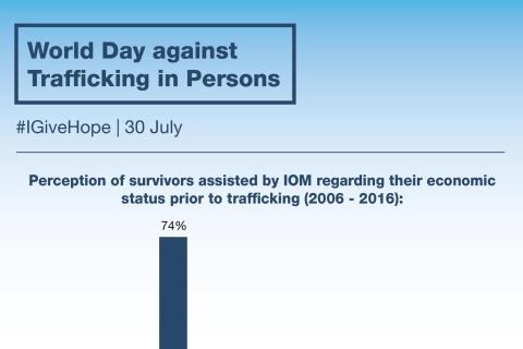 Perception of survivors assisted by IOM