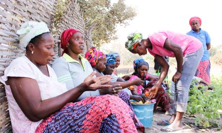 Cultivating Seeds of Cohesion and Solidarity in the Face of Climate Change
