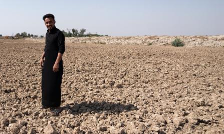 Water Crisis in Focus: Streams Run Dry in Southern Iraq